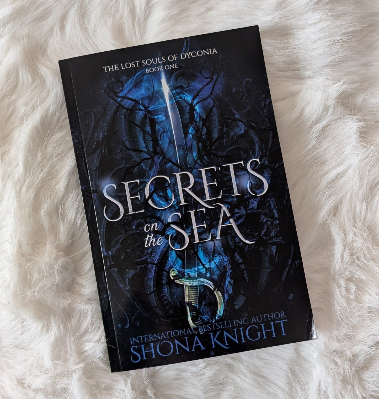 paperback of secrets on the sea