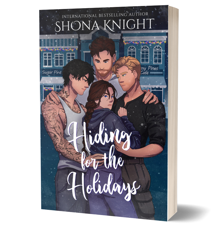 Hiding for the Holiday Paperback - SIGNED